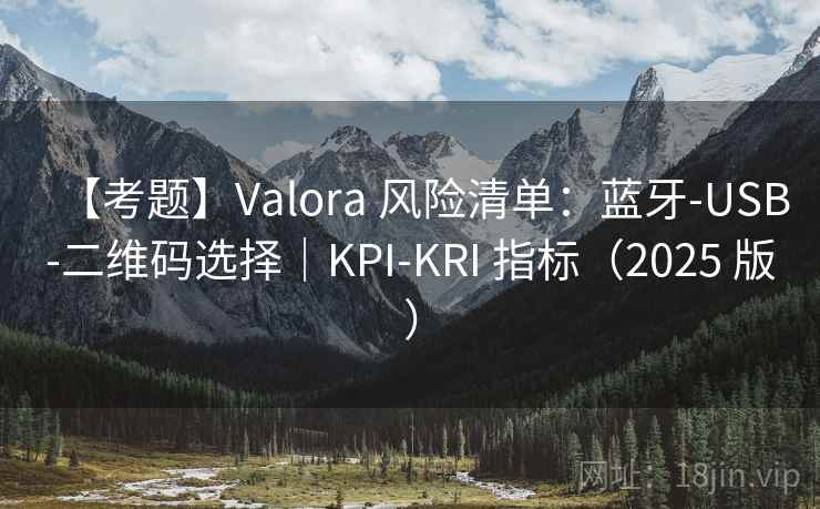 【考题】Valora 风险清单:蓝牙-USB-二维码选择|KPI-KRI 指标(2025 版)